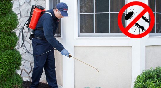 Marmaraereğlisi Fare İlaçlama böcek ilaçlama ve haşere kontrolü — ilaclama-tr.com